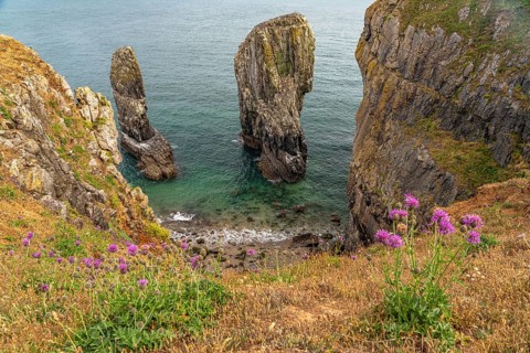 Elegug Stacks or Stack Rocks rock formation in the Pembrokeshire Coast National Park,