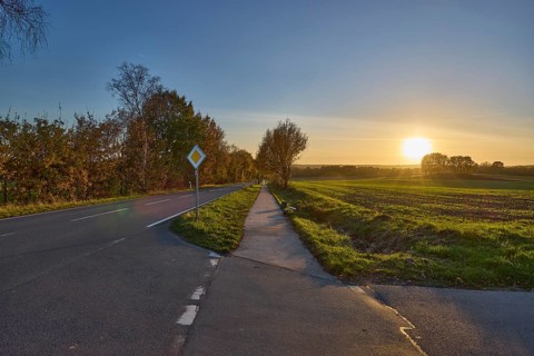 Country road, cycle path, trees, fields, backlight, sunset, blue cloudless sky, intersection of