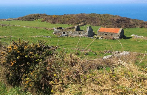 Abandoned ruined croft building on west coast of Cape Clear Island, County Cork, Ireland, Irish
