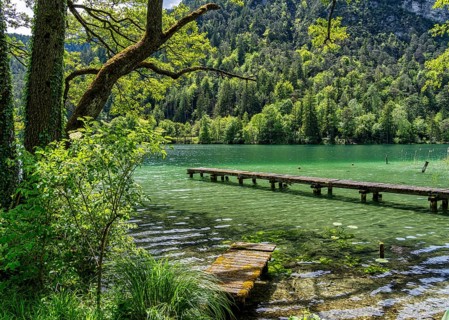 Landscape at Lake Thumsee, Bad Reichenhall, Bavaria, Germany, Europe