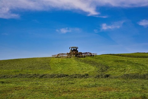 Tractor with hay tedder harvesting hay in the Allgäu in Bavarian Swabia in the Allgäu, Bavaria,