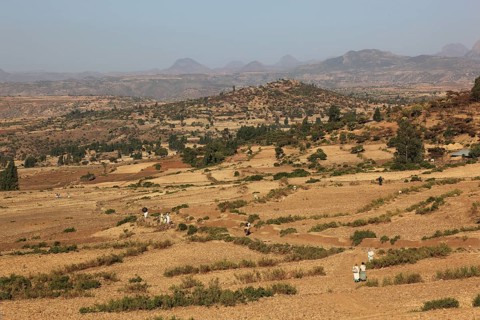 Tigray region, view over a barren landscape between Axum and the border of Eritrea, Ethiopia,
