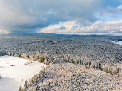 Snowy forest and field landscape under a cloudy sky, Oberreichenbach, Black Forest, Calw district,