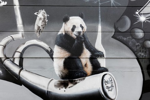 Happy panda bear sitting on bamboo, graffiti, Duisburg, North Rhine-Westphalia, Germany, Europe