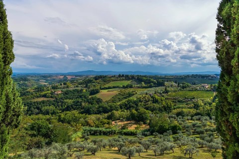 Hilly landscape, cypress (Cupressus), olive, olive tree (Olea europaea), weather, clouds, sky, San