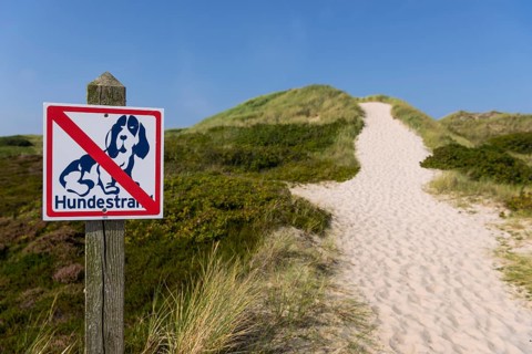 Path through the heathland, dogs prohibited, dog ban, dune landscape, hiking, excursion, nature,