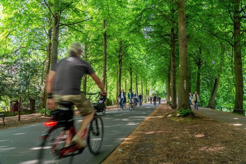 Promenade cycle path, tree-lined, car-free, approximately 4.5 km long ring road around the city