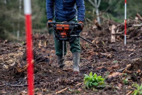Reforestation in the Arnsberg Forest near Rüthen-Nettelstädt, Soest district, forestry workers