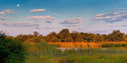 Moanachira River, nature, landscape, romantic, safari, natural landscape, travel, holiday,