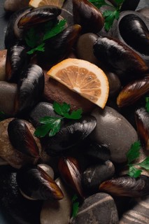 Fresh mussels, on rocks, top view, food concept, selective focus, seafood, no people