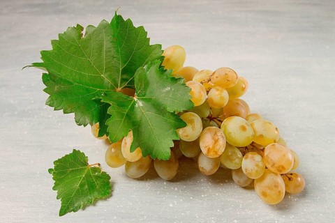 A branch of white grapes with leaves, on the table, top view, close-up, no people