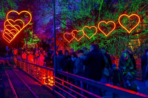 Parkleuchten, event in winter, in the Grugapark in Essen, many different light installations,