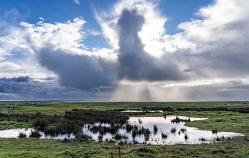 North Sea island of Spiekeroog, East Frisia, Lower Saxony, Germany, marshes, salt marshes,