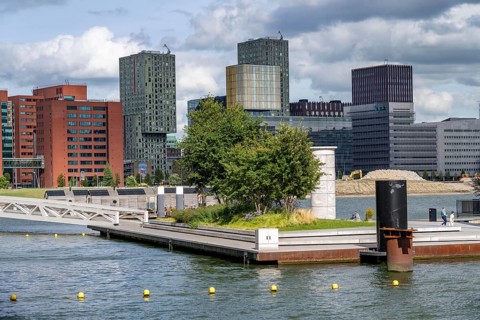 First part of the floating park, in the Rijnhaven, 28ha harbour basin, has now been filled in to