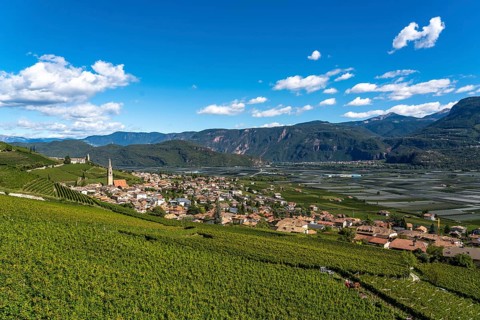 Wine-growing, in the Adige Valley, near the village of Tramin on the wine road, view from the