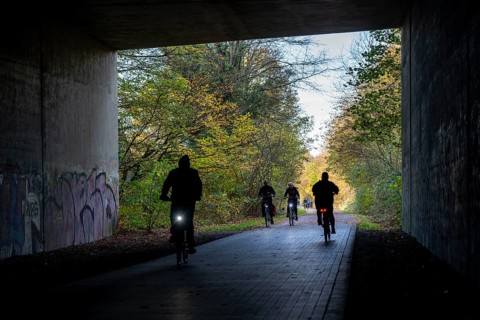 The Grugatrasse, former railway line between Essen and Mülheim an der Ruhr, now cycle path,