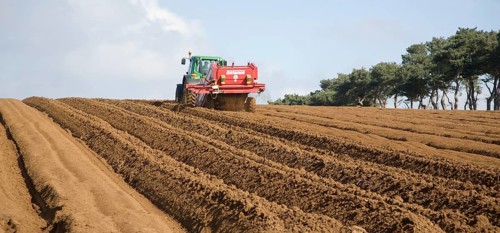 Grimme 25 de-stoner machinery preparing soil for crop of potatoes in a field, Shottisham, Suffolk,