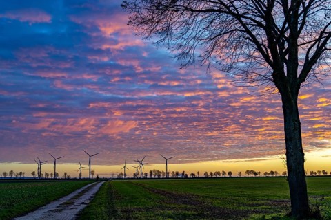 Wind farm near Holzweiler, town of Erkelenz, wind power plants, North Rhine-Westphalia, Germany,
