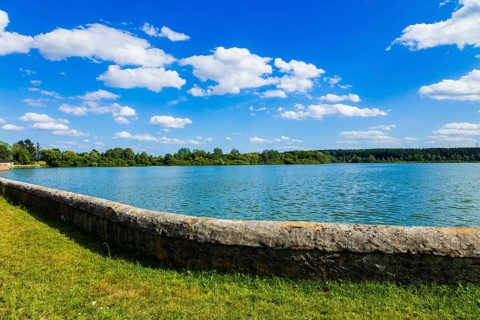 The Untere Großhartmannsdorfer Teich, also known as the Zehntler Teich or Großhartmannsdorfer