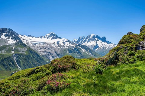 Mountain panorama with glaciated mountain peaks, Aiguille Verte and Glacier du Tour, hike to