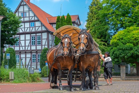 Horse-drawn carriage in front of Prinzenhof Rinteln Germany