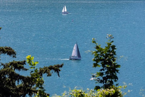 Sailing boat on Lake Lucerne, Flüelen, Canton Uri, Switzerland, Europe