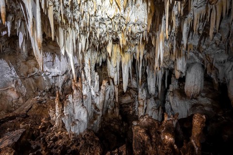 Stalactite cave, Terciopelo Cave, Barra Honda National Park, Costa Rica, Central America