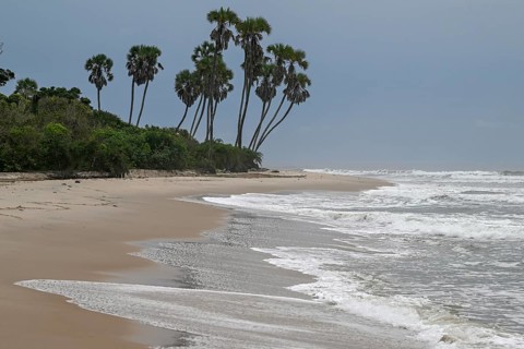 Beach, Petit Loango, Loango National Park, Parc National de Loango, Ogooué-Maritime Province,