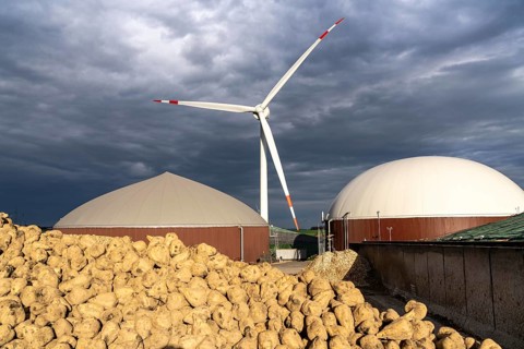 Biogas plant produces gas from various biomass, here the sugar beet storage, the electricity is