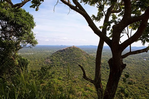 View of the jungle landscape from the Lion Rock, ruined city of Sigiriya, Central Province, Sri