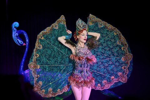 Pompously dressed young lady at a gala ball during a performance (Great Gala-Dinner-Show),