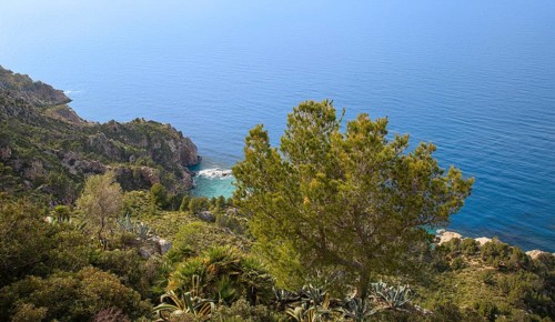 Landscape, vegetation on the north-west coast, Majorca, Balearic Islands, Spain, Europe