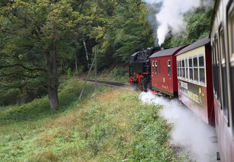 Selketalbahn, Harzer Schmalspurbahn, Brockenbahn runs through the Harz Mountains, Saxony-Anhalt,