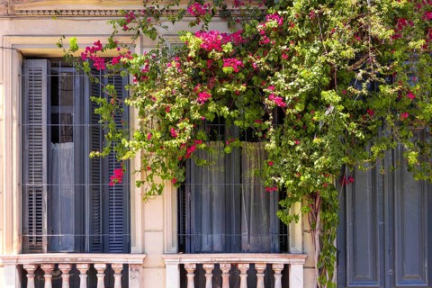 Uruguay, Montevideo streets and architecture in historic city center famous tourist attraction,