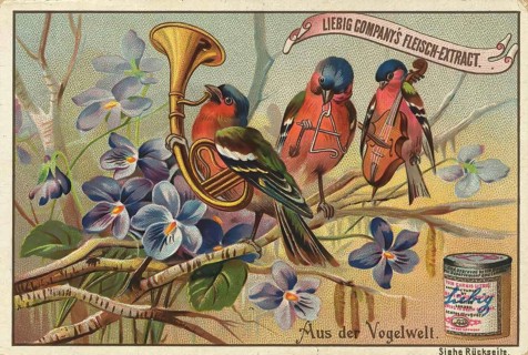 Picture series From the world of birds, birds as musicians, orchestra, Liebig picture, digitally