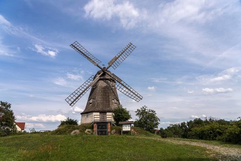 Dutch mill on the Mühlenberg in Jerichow, Jerichower Land, Saxony-Anhalt, Germany, Europe