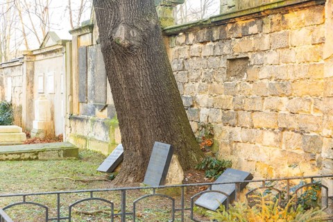 The Trinitatisfriedhof cemetery in Dresden's Johannstadt district is one of the city's burial