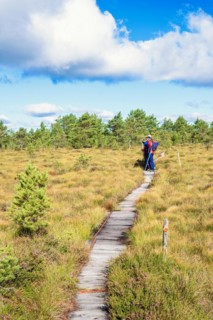 Hikers on a footpath on a bog looking at the beautiful landscape, Sweden, Europe