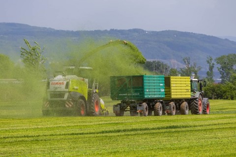 A Claas Jaguar 940 forage harvester at Grasmad in a field near Bannewitz, Bannewitz, Saxony,