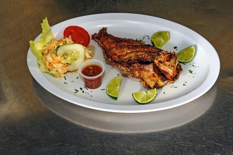 Pan-fried fish dish with Caribbean invasive lionfish (Pterois miles) prepared without head tail