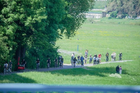 Men's groups out and about on the Dresden Elbe cycle path, Dresden, Saxony, Germany, Europe