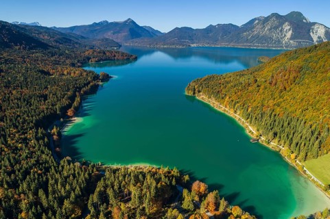 Aerial view of a mountain lake and autumnal coloured trees in the morning light, Walchensee, view