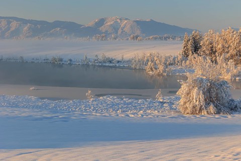 Lake in front of mountains in the morning light, fog, snow, winter, Riegsee, view of Hörnle,