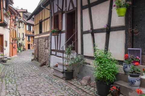 A narrow alleyway lined with traditional houses with plants and red flowers, Eguisheim, Plus beaux