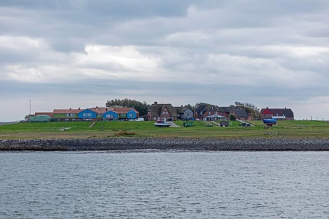 Hallig Hooge, North Frisia, Schleswig-Holstein, Germany, Europe