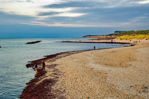 Baltic Sea beach, walkers on the Baltic Sea coast on Wustrow beach in the evening light, evening