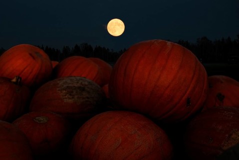 Super moon, full moon, pumpkin, night, Halloween, autumn, Greiling, Bad Tölz, Bavaria, Germany,