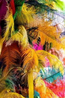 Various colorful feathers and plumes that will be used in the making of carnival costumes in Brazil