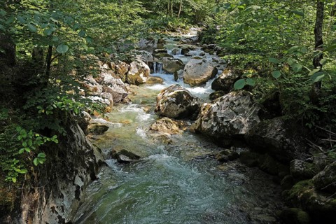 Seisenbergklamm gorge, natural monument, Pinzgau, Salzburger Land, Austria, Europe