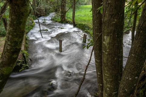 Rapids of the Trubach, Trubach Valley, Egloffstein, Upper Franconia, Bavaria, Germany, Europe